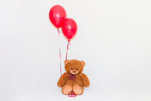 Nice teddy bear holds the inflatable red balloons. Valentines day concept.White studio wall.