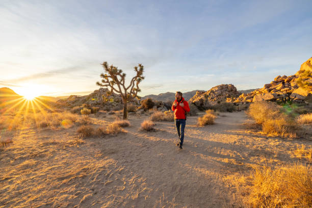Man hiking in Joshua tree park at sunrise