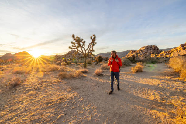 istock Man hiking in Joshua tree park at sunrise 1972835228