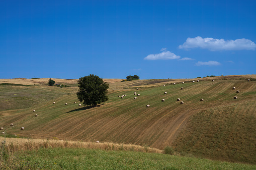 Country landscape near Tricarico and San Chirico, in Potenza province, Basilicata, Italy
