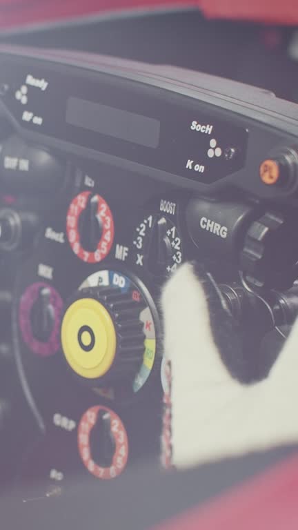 Racer testing steering wheel of race car