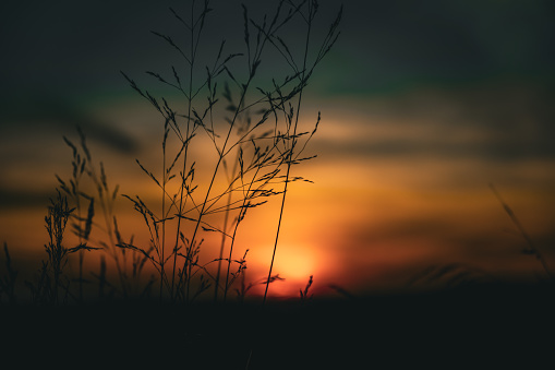 Sunset sky pink blue and orange soft pastel colors skyscape at dusk