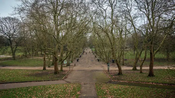 A wide, tree-lined path in Crystal Palace Park, London. The trees are bare of leaves on an overcast winter's morning.