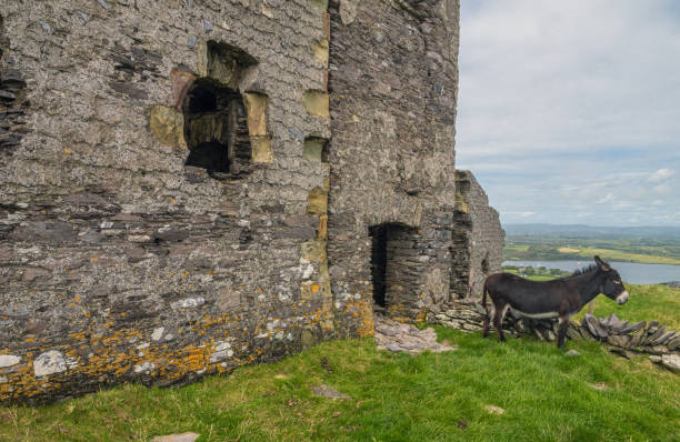 This set of images features the Church of Ireland in the heart of Donegal Town, Ireland, notable for its Gothic Revival design, pointed stone spire, and historical significance. Adjacent to the church stands Donegal Castle, a partially restored medieval structure, enhancing the historic atmosphere of the town center. The surrounding area is composed of traditional townhouses, winding roads, small local businesses, and the tranquil River Eske flowing through the landscape. Framed by lush countryside and rolling hills, this setting is emblematic of Irish heritage, offering rich storytelling for religious, historical, and architectural tourism themes.