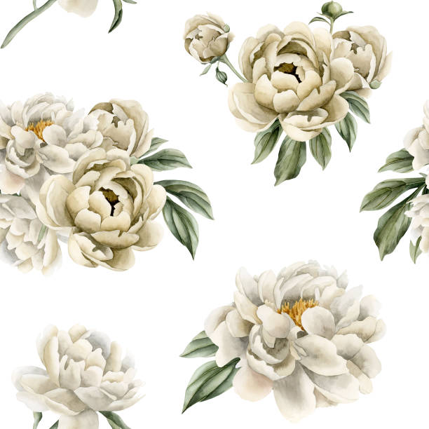 istock Floral watercolor seamless pattern with white and beige peony flowers, buds and green leaves on white background 1972919714