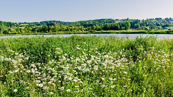 Vegetation on the territory of Poland has developed since the last ice age and includes 2250 species of seed plants.