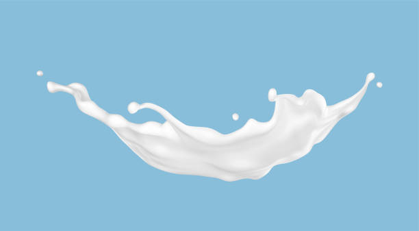 istock Milk splash isolated on blue background. Natural dairy product, yogurt or cream splash with flying drops. Realistic Vector illustration 1972936673
