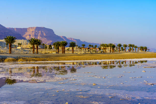 Dead Sea coast and promenade in Ein Bokek