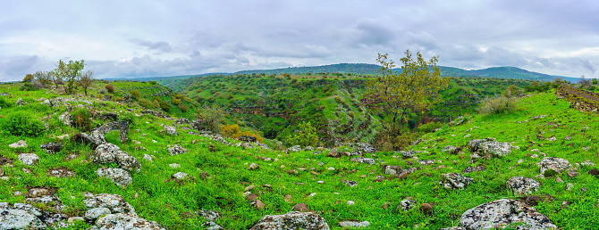Panoramic view of the Yehudiya valley, in Yehudiya National Park, the Golan Heights, Northern Israel
