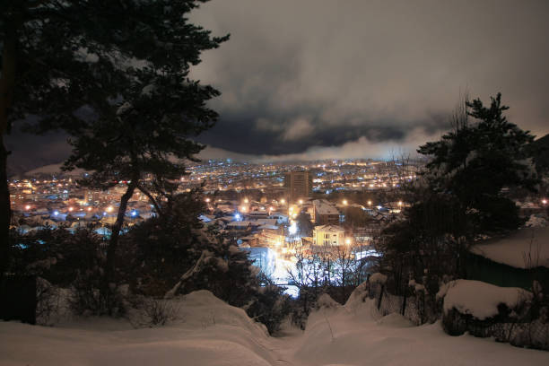 The city in the winter night , Armenia , Vanadzor , Kirovakan