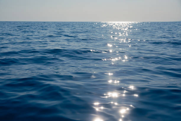 istock Tranquil sea with glistening sun reflection natural background 1973001241