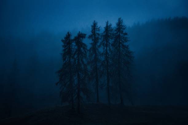 istock Dramatic Trees in Dolomites Mountains. Autumn season. Italy 1973006182