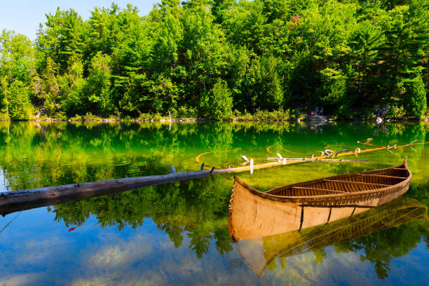 Canoeing in a river on a summer day.