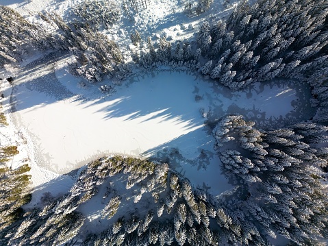 Aerial winter view on snowy icy white lake and pine forest in Low Tatras of Slovakia. Drone overhead view to tops of fir and pine trees, pond with snow and ice, long slanting shadow of sunset