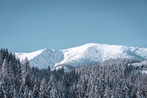 Mountains covered with pine and fir forest, cold beauty in nature of Low Tatras, Slovakia