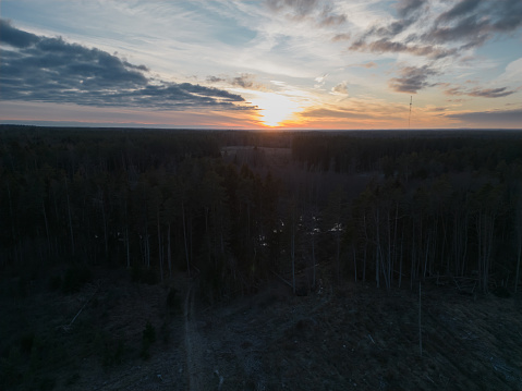Bright sunset over the Estonia forest in spring, photo taken from a drone. High quality photo