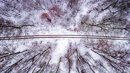 Forest path in winter - aerial view
