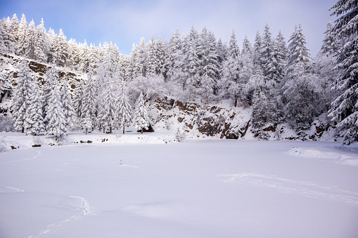 Cross-country skiing in the snowy Thuringian Forest near Floh-Seligenthal - Thuringia - Germany