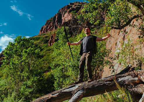 Happy male hiker standing on a fallen tree trunk with trekking poles on mountains background