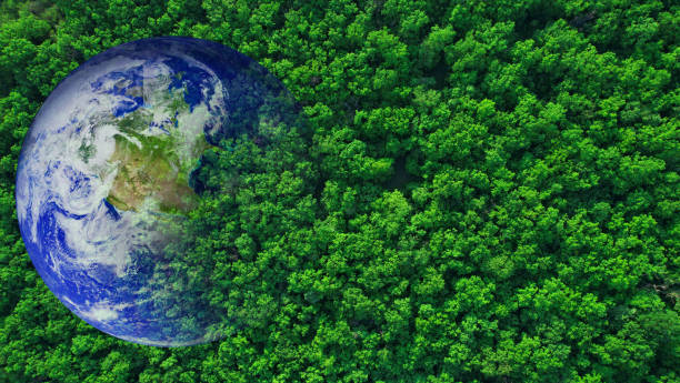 istock Aerial view forest with globe earth. Sustainable Development Goals (SDGs).Environmental technology concept.Renewable resource to reduce pollution and carbon emissions. Elements of this image by NASA. 1973132636