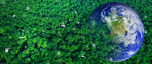 Aerial view forest with globe earth. Sustainable Development Goals (SDGs).Environmental technology concept.Renewable resource to reduce pollution and carbon emissions. Elements of this image by NASA.\nhttps://eoimages.gsfc.nasa.gov/images/imagerecords/57000/57723/globe_west_2048.jpg