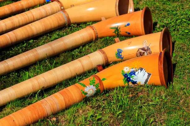 Alphorns laying on the grass on the alpine meadow
