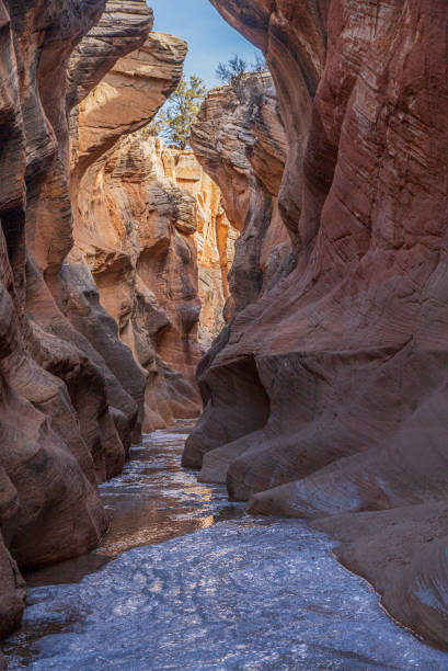 Scenic Willis Creek Slot Canyon in the Grand Staircase Escalante National Monument Utah stock photo