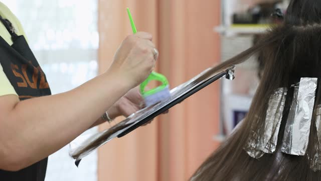 The hairdresser dyes a woman's long hair in a beauty salon.