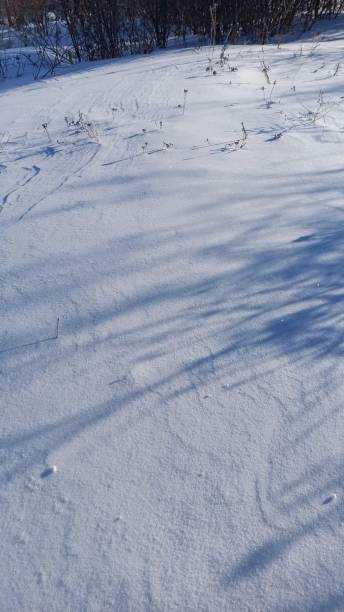 istock Winter countryside images in the snow 1973188323