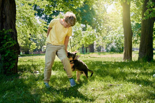 istock Positive child having fun with puppy at summer park 1973203640