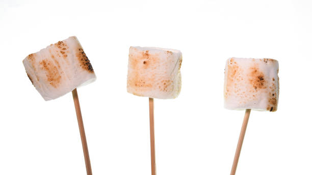 istock Bamboo sticks with roasted marshmallows isolated  on white background 1973208905