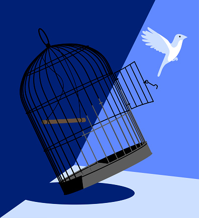 A falling bird cage and a white bird flying out of it, illuminated by sunlight. Vector illustration in minimal art style