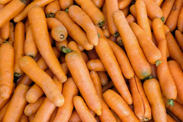 Photo of Organic carrots background