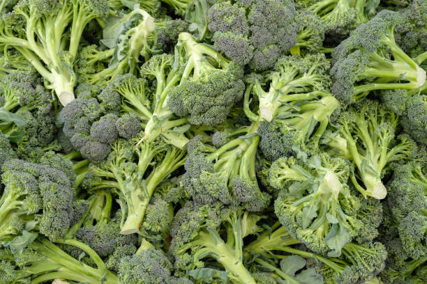 istock Green broccoli background as a healthy eating concept 1973218370