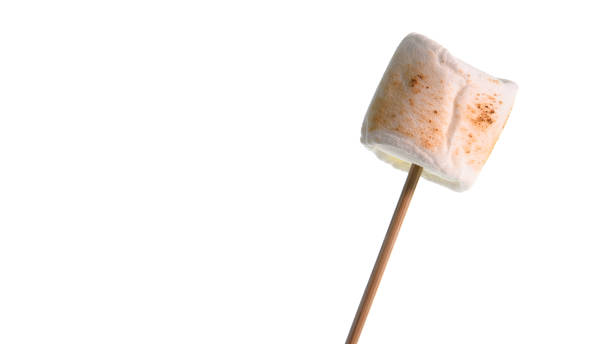 istock Bamboo sticks with roasted marshmallow isolated  on white background 1973218876