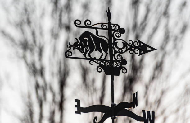 Decorative weather vane removed from below