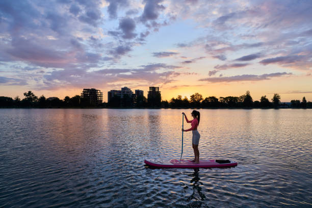 istock Woman training on sup board during summer sunset 1973252743