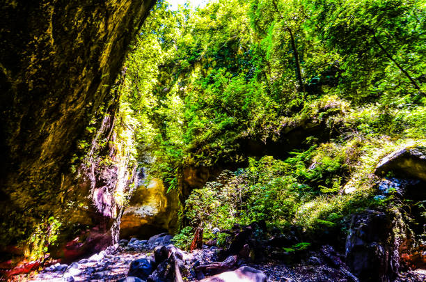 istock Valley in the Canary Islands 1973262226
