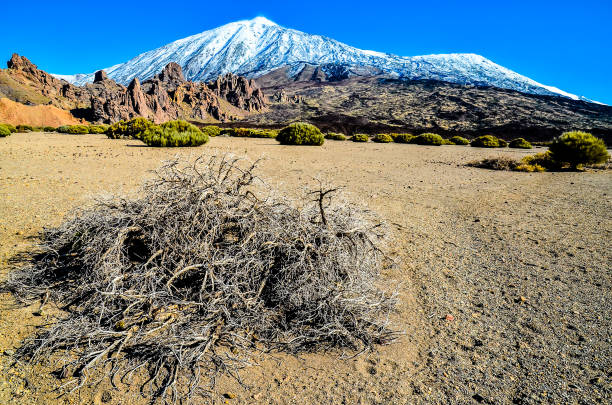 Desert Landscape in Volcan Teide National Park, Tenerife, Canary Island, Spain