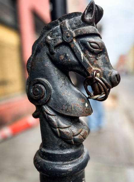 old ring horse tie up in the french quarter new orleans louisiana