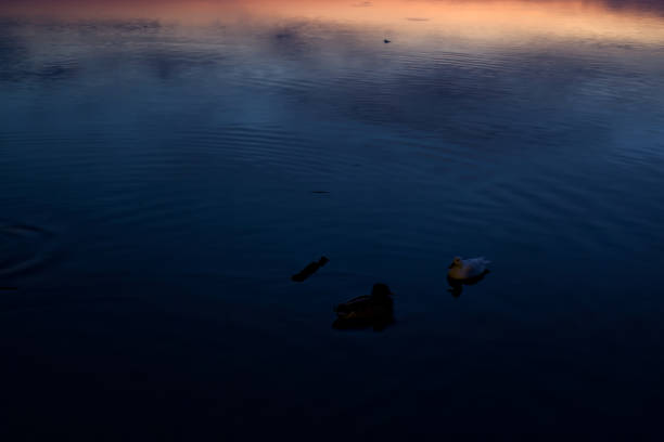 Sky at sunset casted in the water