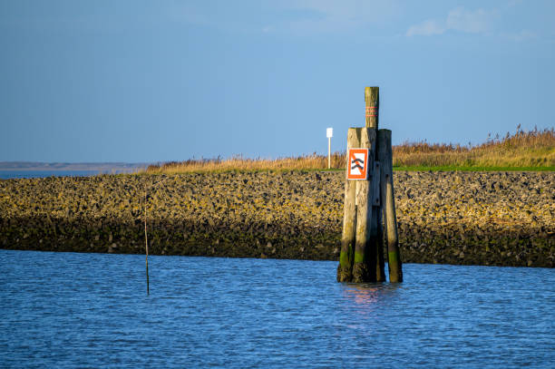 Concrete breakwater structures, North Sea coastline.
