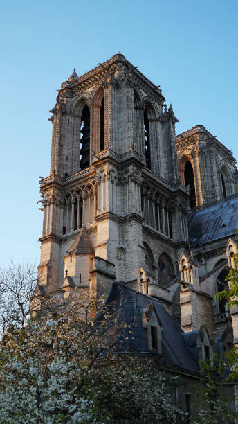 istock Catedral Notre-Dame de Paris in  the spring 1973361282