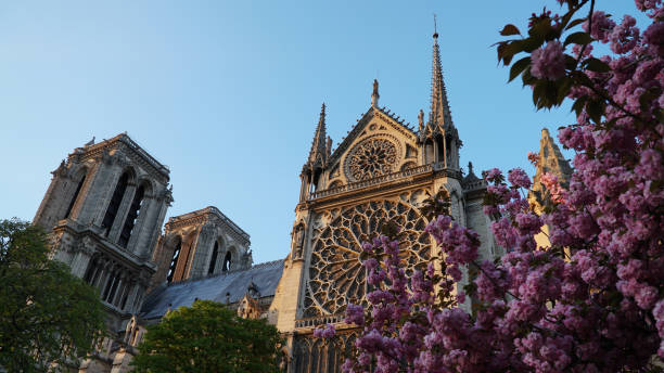 istock Catedral Notre-Dame de Paris in  the spring 1973361285