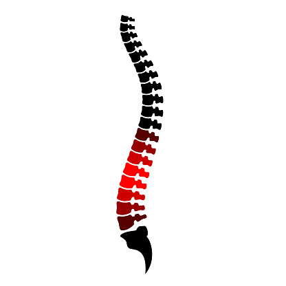 Spinal cord and low back pain icon on white background