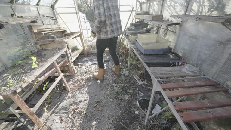 Cleaning an Overgrown  Green House