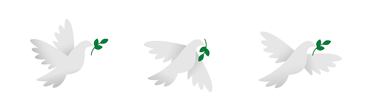 Dove vector icons. Peace dove. Doves of peace. Flying pigeon. Dove with branch.