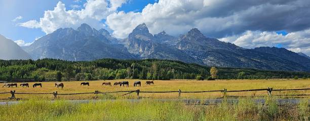 Peaked Mountains with Prairie Land