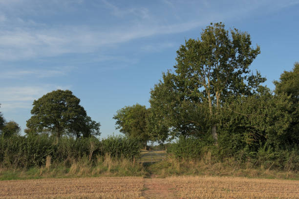 Field in Herefordshire in Autumn