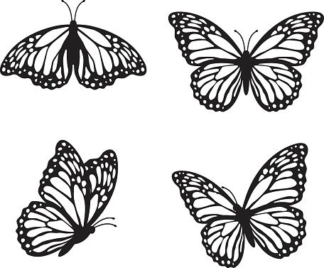 A set of black butterflies separated from the background, depicted from different angles.